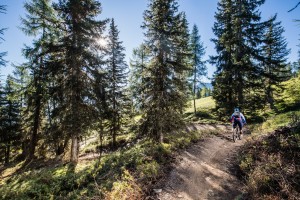 ©wisthaler.com 16 08 Kronplatz bike- natur HAW 6648 